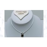 EZÜST TÓNUSÚ NYAKLÁNC LAKAT MEDÁLLAL FATÁBLÁVAL